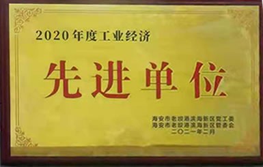 热烈祝贺我公司获得2020年“工业经济先进单位”称号
